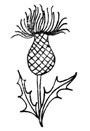 Thistle press mark